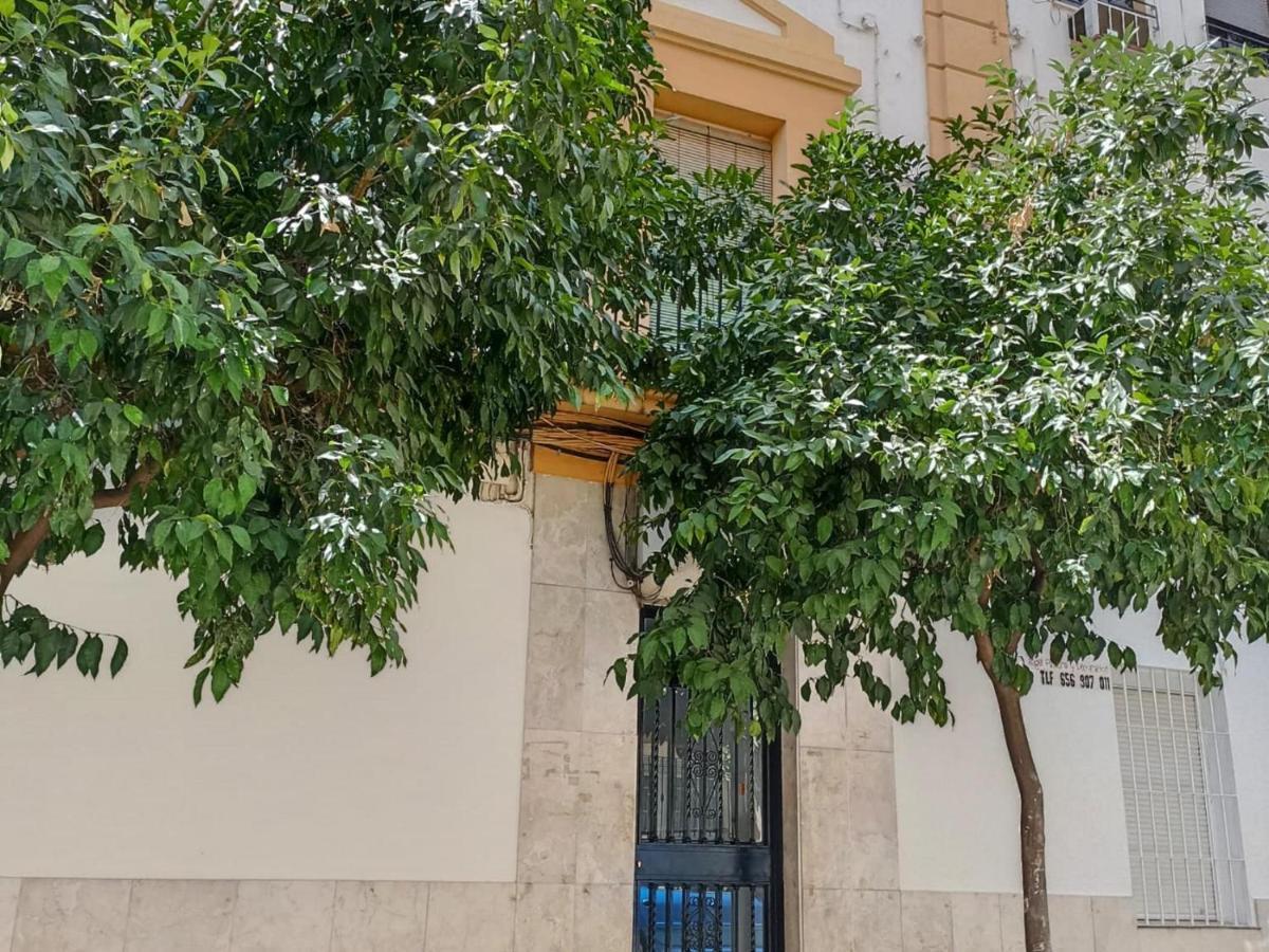 Modernos Apartamentos En Ciudad Jardin Κόρδοβα Εξωτερικό φωτογραφία